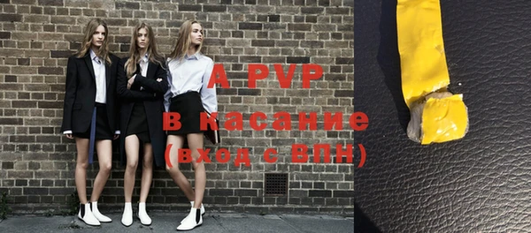 прущие грибы Осинники