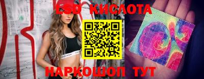 индика Бийск