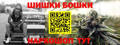 индика Бийск