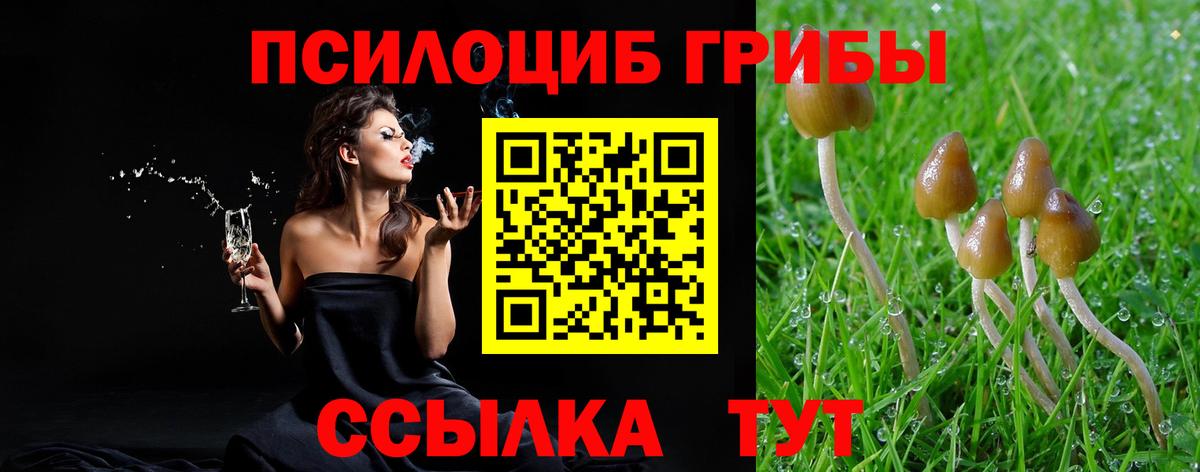 дарнет шоп  Псилоцибиновые грибы мицелий  Вход с VPN  Россошь 